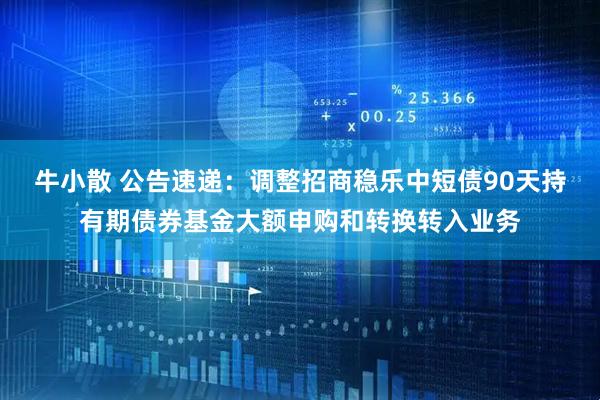 牛小散 公告速递：调整招商稳乐中短债90天持有期债券基金大额申购和转换转入业务